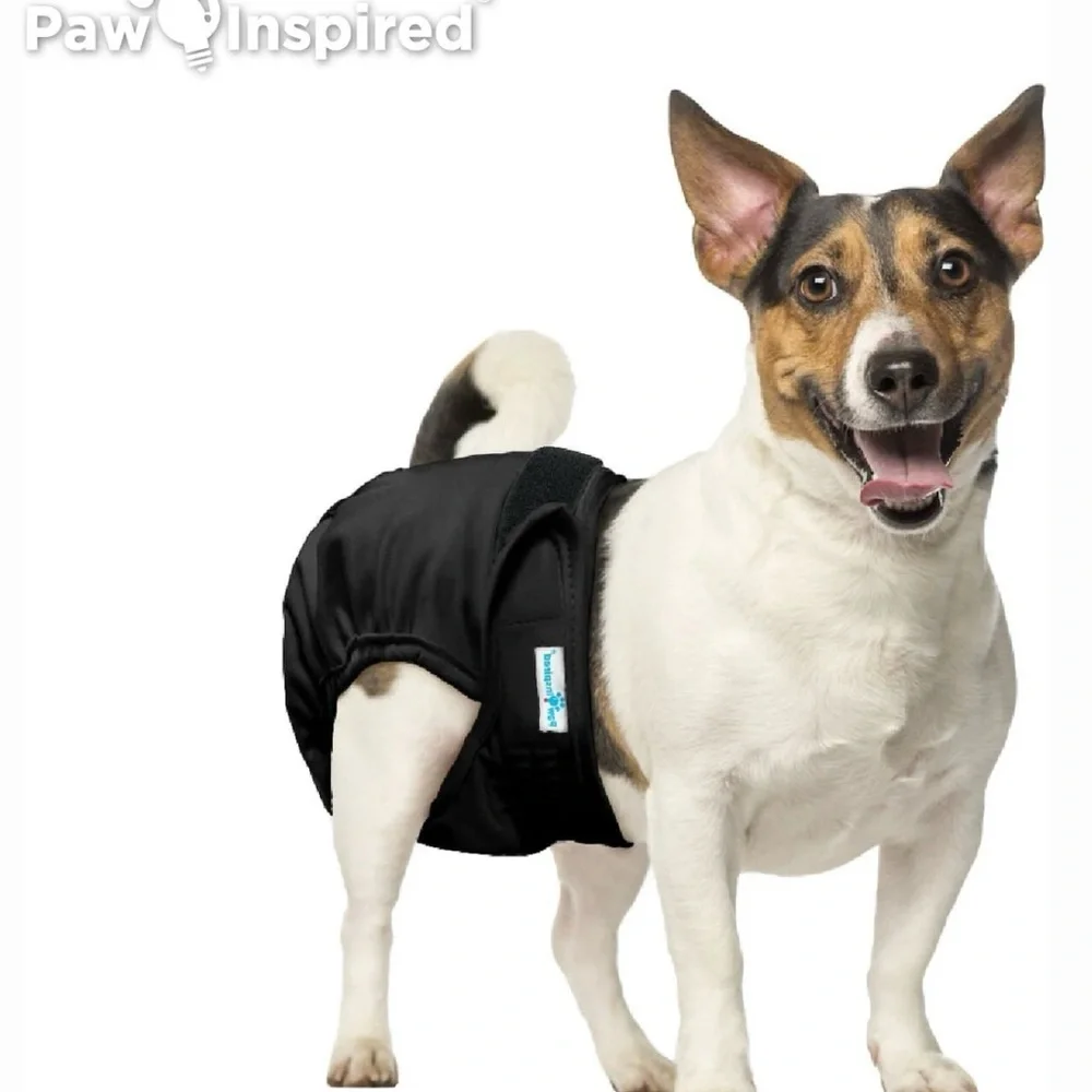 Inspire Washable Dog Diapers - Blue